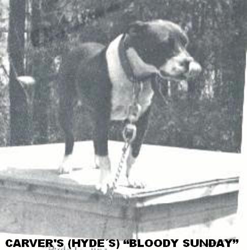 Carvers Bloody Sunday (Hyde)