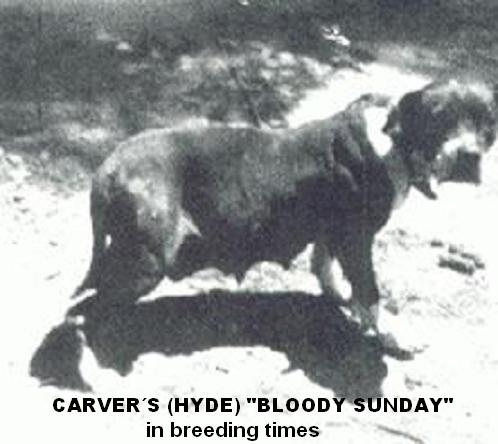 Copia de Carverss Bloody Sunday (Hyde)
