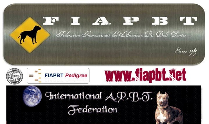 IADCRO ESPA�A