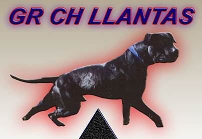GR CH CHAVEZ' LLANTAS