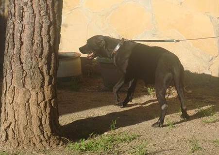 Copia de DSC04127