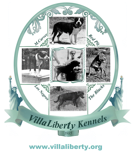 LOGO DEFINITIVO DE VILLA LIBERTY KENNELS - copi