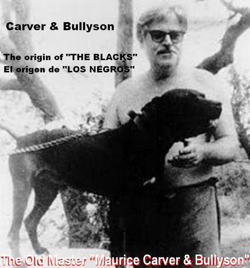Carver & Bullyson