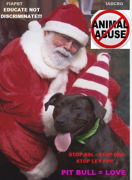 PIT BULL & PAPA NOEL