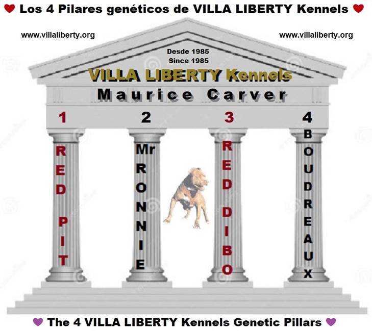 -  1 Los 4 PILARES de VILLA LIBERTY Kennels