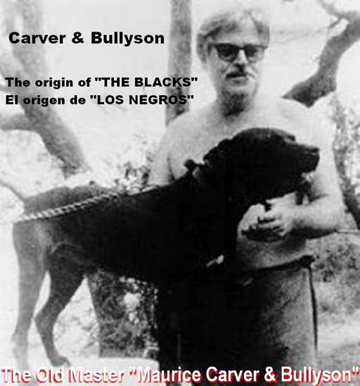 Carver & Bullyson